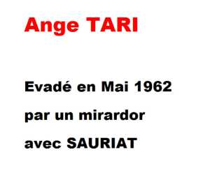 TARI Ange