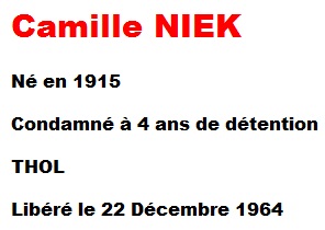  Camille NIEK 

