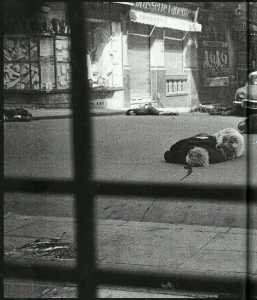  ALGER le 26 Mars 1962 
----   
Photos des cadavres dans la rue
