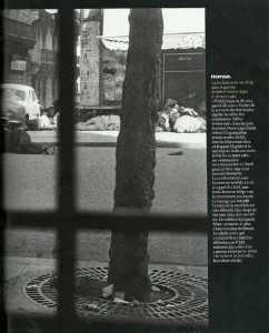  ALGER le 26 Mars 1962 
----  
Photos des cadavres dans la rue
